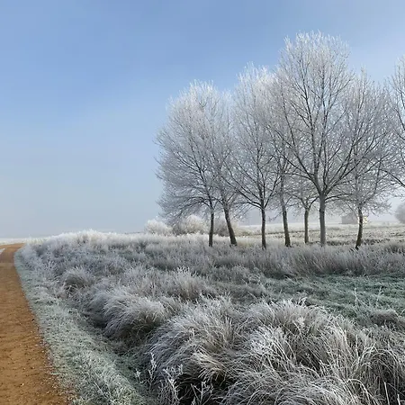 Ferienhaus Casa De La Era, Grande, De Adobe, Con Patio Y Bodega Fontanil de Los Oteros
